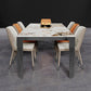 Modern Style Dining Table Sintered Stone Dining Rectangle Table with Metal Legs for Home 63"L x 31.5"W x 29.5"H Without Chairs Clearhalo 'Dining Tables & Seating' 'Dining Tables' 'dining_table' 'furn' 'furn_dining_table' 'Furniture' 'Kitchen & Dining Furniture' 6304368