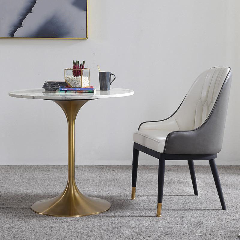 Contemporary Marble Dining Set 1/2/4/5 Pieces Round Dining Table Set with Padded Chairs 2 Pieces: Table, 1 Chair Clearhalo 'Dining Room Sets' 'Dining Tables & Seating' 'dining_room_set' 'furn' 'furn_dining_room_set' 'Furniture' 'Kitchen & Dining Furniture' 6314876