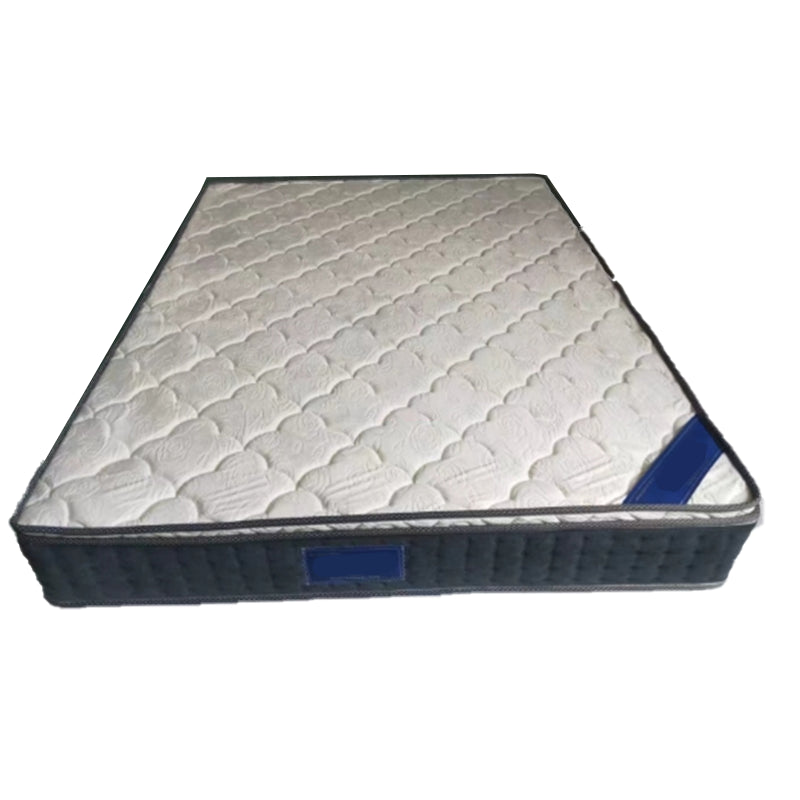 Mid-Century Modern Panel Bed Solid Color Standard Bed With Custom Gold Legs