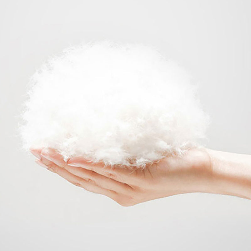 Mid-Century Modern Panel Bed Solid Color Standard Bed With Custom Gold Legs