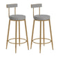Glam Upholstered Counter Stool Bar-height Low Back Bar Stool with Metal Base Gray-Gold Faux Leather 2 Piece Set Clearhalo 'Bar Furniture' 'Bar Stools' 'bar_stools' 'furn' 'furn_bar_stools' 'Furniture' 'Kitchen & Dining Furniture' 6317047