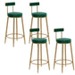 Glam Upholstered Counter Stool Bar-height Low Back Bar Stool with Metal Base Green Gold Flannel 4 Piece Set Clearhalo 'Bar Furniture' 'Bar Stools' 'bar_stools' 'furn' 'furn_bar_stools' 'Furniture' 'Kitchen & Dining Furniture' 6317055