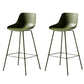 Contemporary Counter Height Stools Plastic Height Bar Stool for Living Room Blackish Green 2 Piece Set Clearhalo 'Bar Furniture' 'Bar Stools' 'bar_stools' 'furn' 'furn_bar_stools' 'Furniture' 'Kitchen & Dining Furniture' 6317642