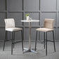 Contemporary Upholstered Counter Stool Low Back Bar Stool with Footrest Clearhalo 'Bar Furniture' 'Bar Stools' 'bar_stools' 'furn' 'furn_bar_stools' 'Furniture' 'Kitchen & Dining Furniture' 6317963