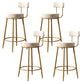 Glam Style Counter Stool Upholstered Living Room Bar Stool with Gold Frame