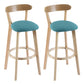 Contemporary Wooden Counter Height Stools Cushion Bar Stool for Indoor Lake Green 2 Piece Set Clearhalo 'Bar Furniture' 'Bar Stools' 'bar_stools' 'furn' 'furn_bar_stools' 'Furniture' 'Kitchen & Dining Furniture' 6318429