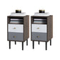 Contemporary Bed Nightstand Open Storage Night Table with 2 Drawers Nut-Brown 2 Piece Set Clearhalo 'Bedroom Furniture' 'furn' 'furn_night_stand' 'Furniture' 'night_stand' 'Nightstands' 6318895