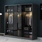 Black Wardrobe for Home Modern Style Cabinet with Glass Doors Clearhalo 'Armoires & Wardrobes' 'armoires_wardrobes' 'Bedroom Furniture' 'furn' 'furn_armoires_wardrobes' 'Furniture' 6322408