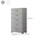 Plastic Matte Finish Non-Hanging Armoire Modern Storage Cabinet for Home
