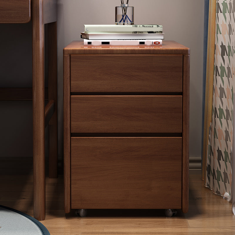 Traditional Style Vertical Filing Cabinet Wood Filing Cabinet with Storage Walnut Clearhalo 'Filing Cabinets' 'filling_cabinets' 'furn' 'furn_filling_cabinets' 'Furniture' 'Office Furniture' 6336295