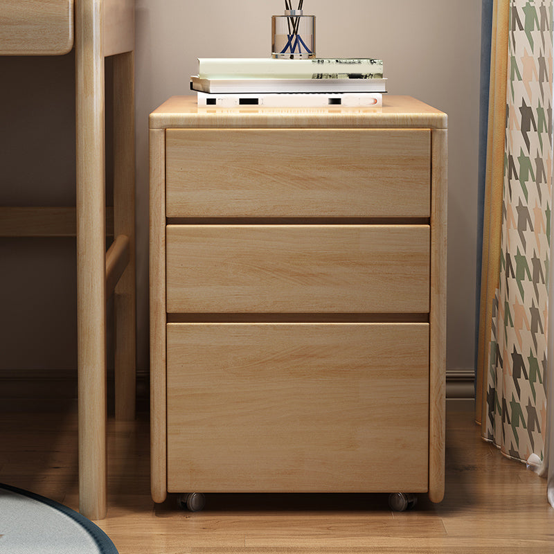 Traditional Style Vertical Filing Cabinet Wood Filing Cabinet with Storage Natural Clearhalo 'Filing Cabinets' 'filling_cabinets' 'furn' 'furn_filling_cabinets' 'Furniture' 'Office Furniture' 6336296