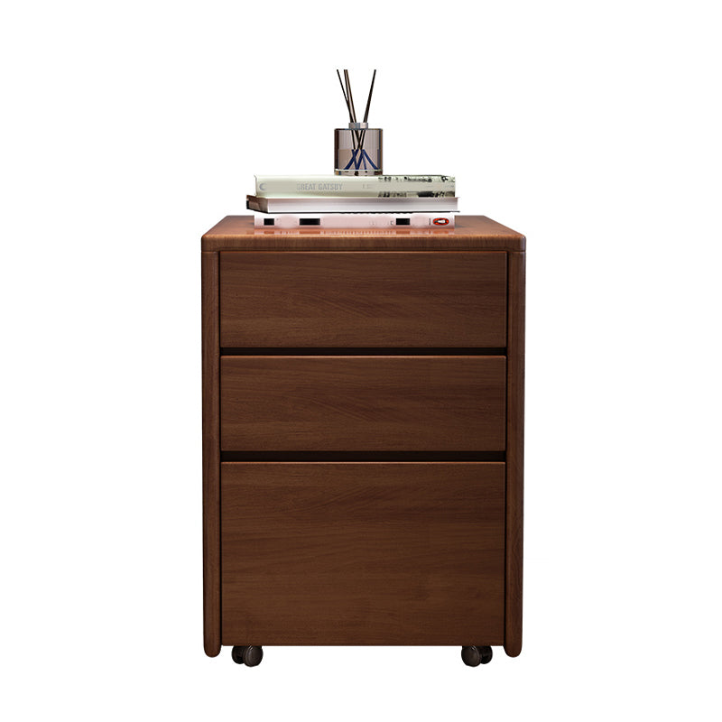 Traditional Style Vertical Filing Cabinet Wood Filing Cabinet with Storage Clearhalo 'Filing Cabinets' 'filling_cabinets' 'furn' 'furn_filling_cabinets' 'Furniture' 'Office Furniture' 6336298
