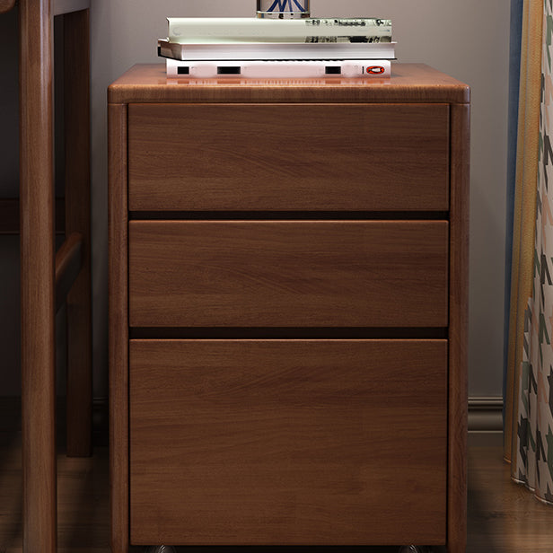 Traditional Style Vertical Filing Cabinet Wood Filing Cabinet with Storage Clearhalo 'Filing Cabinets' 'filling_cabinets' 'furn' 'furn_filling_cabinets' 'Furniture' 'Office Furniture' 6336300