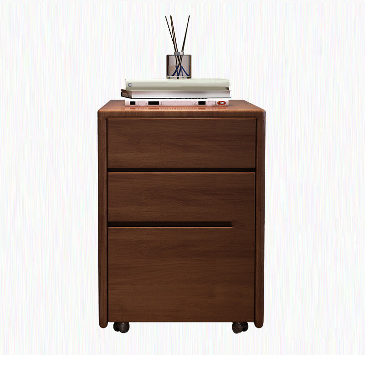 Traditional Style Vertical Filing Cabinet Wood Filing Cabinet with Storage Clearhalo 'Filing Cabinets' 'filling_cabinets' 'furn' 'furn_filling_cabinets' 'Furniture' 'Office Furniture' 6336301