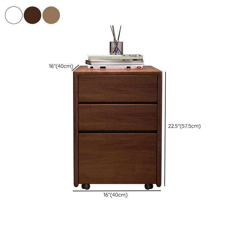 Traditional Style Vertical Filing Cabinet Wood Filing Cabinet with Storage Clearhalo 'Filing Cabinets' 'filling_cabinets' 'furn' 'furn_filling_cabinets' 'Furniture' 'Office Furniture' 6336302