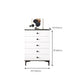Contemporary Combo Dresser Solid Wood Bachelor's Chest for Home Clearhalo 'Bedroom Furniture' 'Dressers & Chests' 'dressers_chests' 'furn' 'furn_dressers_chests' 'Furniture' 6337533