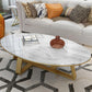 Marble Oval Coffee Table Metal Frame Abstract Cocktail Table Gold Clearhalo 'Coffee & Accent Tables' 'Coffee Tables' 'coffee_tables' 'furn' 'furn_coffee_tables' 'Furniture' 'Living Room Furniture' 6349120