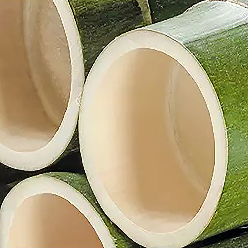 棚と車輪付きの最新の長方形のガラス上端テーブル木材ベースサイドテーブル