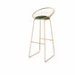 Glam Style Upholstered Counter Stool Armless Bar Stool with Footrest Green 1 Piece Sled Clearhalo 'Bar Furniture' 'Bar Stools' 'bar_stools' 'furn' 'furn_bar_stools' 'Furniture' 'Kitchen & Dining Furniture' 6371040