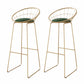 Glam Style Upholstered Counter Stool Armless Bar Stool with Footrest Green 2 Piece Set Sled Clearhalo 'Bar Furniture' 'Bar Stools' 'bar_stools' 'furn' 'furn_bar_stools' 'Furniture' 'Kitchen & Dining Furniture' 6371041