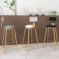 Glam Round Upholstered Counter Stool Low Back Stool with Gold Frame Clearhalo 'Bar Furniture' 'Bar Stools' 'bar_stools' 'furn' 'furn_bar_stools' 'Furniture' 'Kitchen & Dining Furniture' 6371659