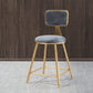 Glam Round Upholstered Counter Stool Low Back Stool with Gold Frame Grey 1 Piece Short Stool(18"H) Clearhalo 'Bar Furniture' 'Bar Stools' 'bar_stools' 'furn' 'furn_bar_stools' 'Furniture' 'Kitchen & Dining Furniture' 6371666