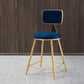 Glam Round Upholstered Counter Stool Low Back Stool with Gold Frame Blue 1 Piece Short Stool(18"H) Clearhalo 'Bar Furniture' 'Bar Stools' 'bar_stools' 'furn' 'furn_bar_stools' 'Furniture' 'Kitchen & Dining Furniture' 6371685