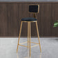 Glam Round Upholstered Counter Stool Low Back Stool with Gold Frame Black 1 Piece Clearhalo 'Bar Furniture' 'Bar Stools' 'bar_stools' 'furn' 'furn_bar_stools' 'Furniture' 'Kitchen & Dining Furniture' 6371695