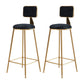 Glam Round Upholstered Counter Stool Low Back Stool with Gold Frame Black 2 Piece Set Clearhalo 'Bar Furniture' 'Bar Stools' 'bar_stools' 'furn' 'furn_bar_stools' 'Furniture' 'Kitchen & Dining Furniture' 6371696