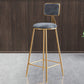 Glam Round Upholstered Counter Stool Low Back Stool with Gold Frame Grey 1 Piece Clearhalo 'Bar Furniture' 'Bar Stools' 'bar_stools' 'furn' 'furn_bar_stools' 'Furniture' 'Kitchen & Dining Furniture' 6371700