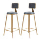 Glam Round Upholstered Counter Stool Low Back Stool with Gold Frame Grey 2 Piece Set Clearhalo 'Bar Furniture' 'Bar Stools' 'bar_stools' 'furn' 'furn_bar_stools' 'Furniture' 'Kitchen & Dining Furniture' 6371701