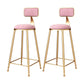Glam Round Upholstered Counter Stool Low Back Stool with Gold Frame Pink 2 Piece Set Clearhalo 'Bar Furniture' 'Bar Stools' 'bar_stools' 'furn' 'furn_bar_stools' 'Furniture' 'Kitchen & Dining Furniture' 6371711