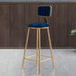 Glam Round Upholstered Counter Stool Low Back Stool with Gold Frame Blue 1 Piece Clearhalo 'Bar Furniture' 'Bar Stools' 'bar_stools' 'furn' 'furn_bar_stools' 'Furniture' 'Kitchen & Dining Furniture' 6371715