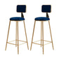 Glam Round Upholstered Counter Stool Low Back Stool with Gold Frame Blue 2 Piece Set Clearhalo 'Bar Furniture' 'Bar Stools' 'bar_stools' 'furn' 'furn_bar_stools' 'Furniture' 'Kitchen & Dining Furniture' 6371716