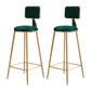 Glam Round Upholstered Counter Stool Low Back Stool with Gold Frame Green 2 Piece Set Clearhalo 'Bar Furniture' 'Bar Stools' 'bar_stools' 'furn' 'furn_bar_stools' 'Furniture' 'Kitchen & Dining Furniture' 6371721