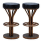 Contemporary Stainless Steel Counter Height Stools Backless Stool Black 2 Piece Set Clearhalo 'Bar Furniture' 'Bar Stools' 'bar_stools' 'furn' 'furn_bar_stools' 'Furniture' 'Kitchen & Dining Furniture' 6372324