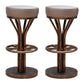 Contemporary Stainless Steel Counter Height Stools Backless Stool Grey 2 Piece Set Clearhalo 'Bar Furniture' 'Bar Stools' 'bar_stools' 'furn' 'furn_bar_stools' 'Furniture' 'Kitchen & Dining Furniture' 6372339