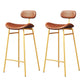 Modern Backrest Counter Stool Iron Cafe Bar Stool with Cushion and Pedal Gold Brown 2 Piece Set Clearhalo 'Bar Furniture' 'Bar Stools' 'bar_stools' 'furn' 'furn_bar_stools' 'Furniture' 'Kitchen & Dining Furniture' 6372920