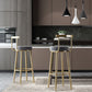 Glam Armless Backrest Counter Stool Iron Bar Stool with Cushion and Pedal for Cafe Clearhalo 'Bar Furniture' 'Bar Stools' 'bar_stools' 'furn' 'furn_bar_stools' 'Furniture' 'Kitchen & Dining Furniture' 6372925