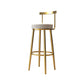 Glam Armless Backrest Counter Stool Iron Bar Stool with Cushion and Pedal for Cafe Clearhalo 'Bar Furniture' 'Bar Stools' 'bar_stools' 'furn' 'furn_bar_stools' 'Furniture' 'Kitchen & Dining Furniture' 6372933