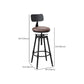 Industrial Armless Elevatable Counter Stool Iron Bar Stool with Pedal for Cafe Clearhalo 'Bar Furniture' 'Bar Stools' 'bar_stools' 'furn' 'furn_bar_stools' 'Furniture' 'Kitchen & Dining Furniture' 6373050
