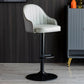 Industrial Metal Counter Height Stools Back Bar Stool for Living Room Grey Black 1 Piece Clearhalo 'Bar Furniture' 'Bar Stools' 'bar_stools' 'furn' 'furn_bar_stools' 'Furniture' 'Kitchen & Dining Furniture' 6373167