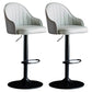 Industrial Metal Counter Height Stools Back Bar Stool for Living Room Grey Black 2 Piece Set Clearhalo 'Bar Furniture' 'Bar Stools' 'bar_stools' 'furn' 'furn_bar_stools' 'Furniture' 'Kitchen & Dining Furniture' 6373169