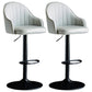 Industrial Metal Counter Height Stools Back Bar Stool for Living Room Light Gray Black 2 Piece Set Clearhalo 'Bar Furniture' 'Bar Stools' 'bar_stools' 'furn' 'furn_bar_stools' 'Furniture' 'Kitchen & Dining Furniture' 6373178