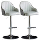 Industrial Metal Counter Height Stools Back Bar Stool for Living Room Grey Silver 2 Piece Set Clearhalo 'Bar Furniture' 'Bar Stools' 'bar_stools' 'furn' 'furn_bar_stools' 'Furniture' 'Kitchen & Dining Furniture' 6373208