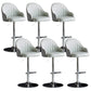 Industrial Metal Counter Height Stools Back Bar Stool for Living Room Grey Silver 6 Piece Set Clearhalo 'Bar Furniture' 'Bar Stools' 'bar_stools' 'furn' 'furn_bar_stools' 'Furniture' 'Kitchen & Dining Furniture' 6373210