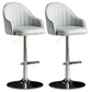 Industrial Metal Counter Height Stools Back Bar Stool for Living Room Light Gray Silver 2 Piece Set Clearhalo 'Bar Furniture' 'Bar Stools' 'bar_stools' 'furn' 'furn_bar_stools' 'Furniture' 'Kitchen & Dining Furniture' 6373213