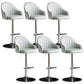 Industrial Metal Counter Height Stools Back Bar Stool for Living Room Light Gray Silver 6 Piece Set Clearhalo 'Bar Furniture' 'Bar Stools' 'bar_stools' 'furn' 'furn_bar_stools' 'Furniture' 'Kitchen & Dining Furniture' 6373215