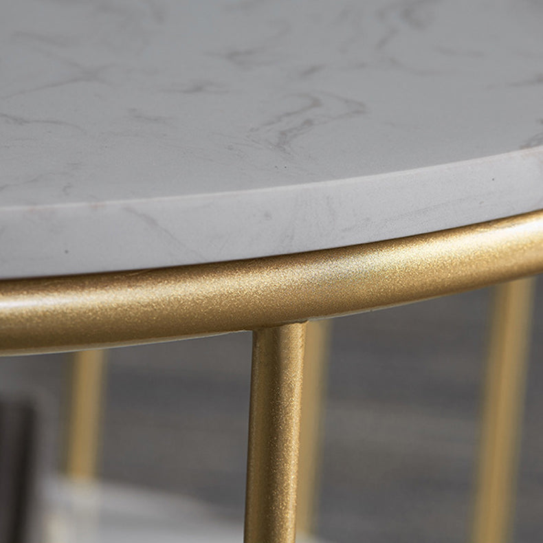 Glam Style Oval Coffee Table with Marble Top and 1 Shelf in White Clearhalo 'Coffee & Accent Tables' 'Coffee Tables' 'coffee_tables' 'furn' 'furn_coffee_tables' 'Furniture' 'Living Room Furniture' 6376265