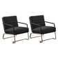 Arms Included Lounge Chair Living Room Chair with Gold Tone Legs Black 2 Piece Set Clearhalo 'Accent Chairs' 'accent_chairs' 'Chairs & Seating' 'furn' 'furn_accent_chairs' 'Furniture' 'Living Room Furniture' 6377630